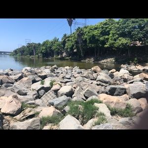 Meet your Posher, Ricky